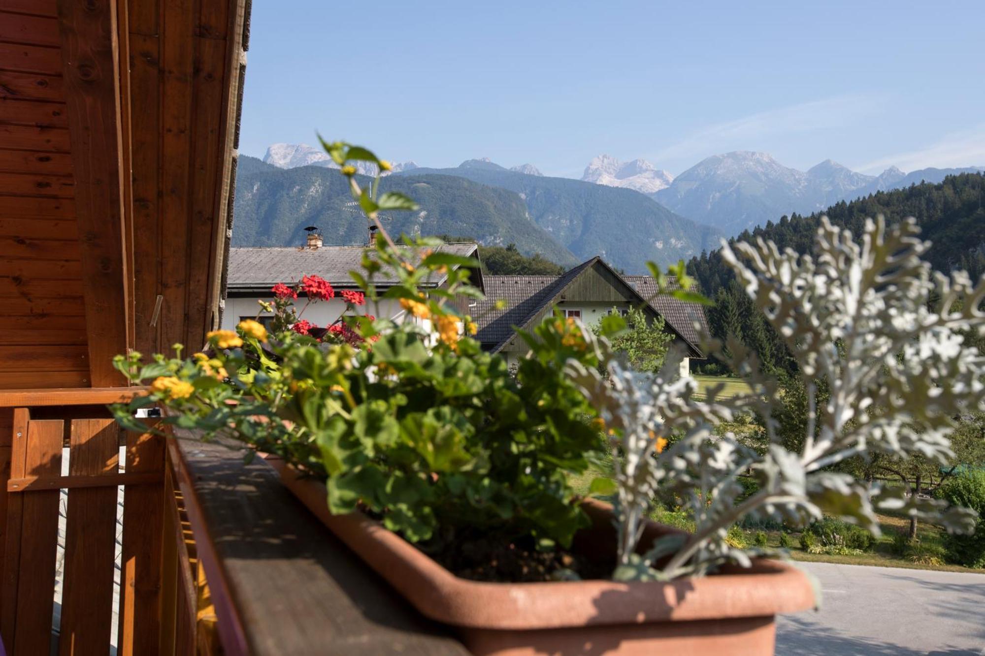 Art Hotel Kristal Bohinj Luaran gambar